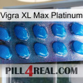 Vigra Xl Max Platinum viagra1